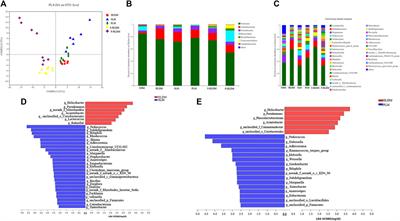 Shen-Ling-Bai-Zhu-San (SL) and SL Derived-Polysaccharide (PL) Ameliorate the Severity of Diarrhea-Induced by High Lactose via Modification of Colonic Fermentation